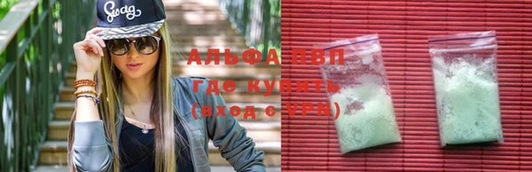 амф Зеленокумск