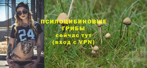 амф Зеленокумск