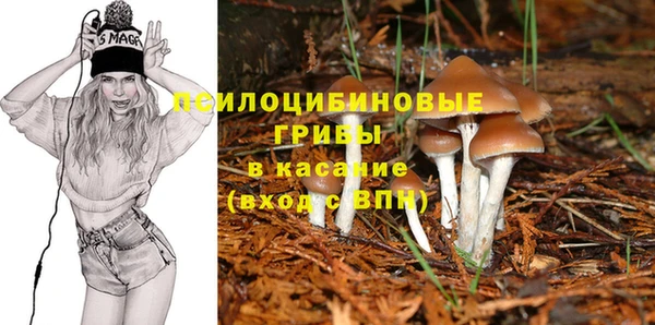 амф Зеленокумск
