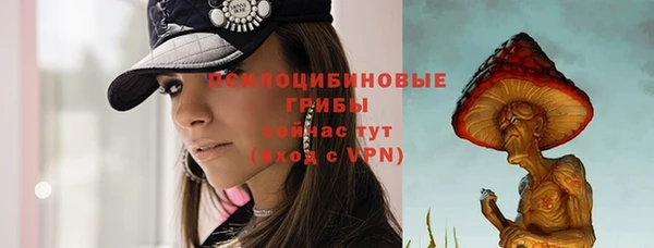 МДПВ Зерноград