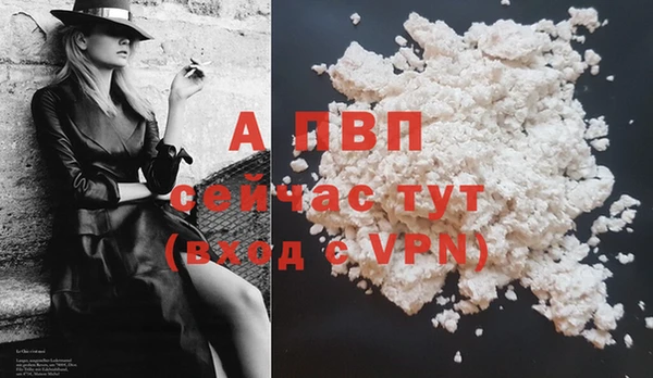 амф Зеленокумск