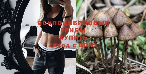 амф Зеленокумск