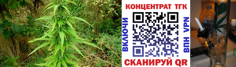 Купить закладки  Лесосибирск  Дистиллят ТГК Wax 